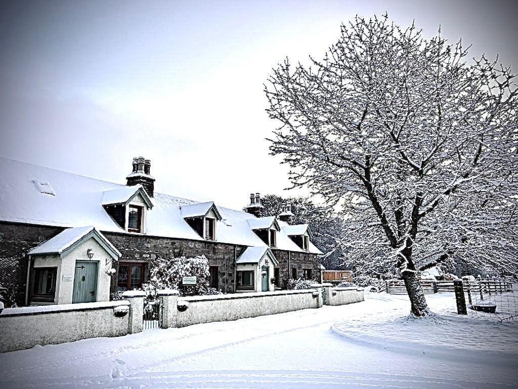 Rosemount Cottage Two - Highland Cottage Garve Eksteriør billede